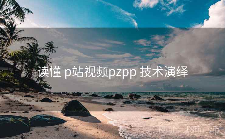 读懂 p站视频pzpp 技术演绎  第2张