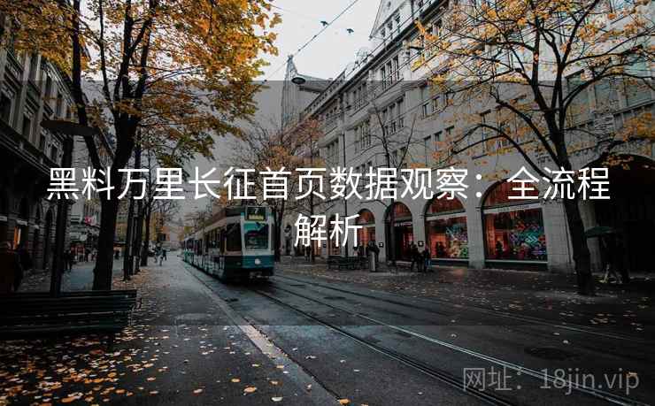 黑料万里长征首页数据观察：全流程解析  第1张