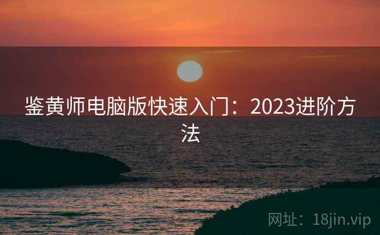 鉴黄师电脑版快速入门：2023进阶方法  第2张