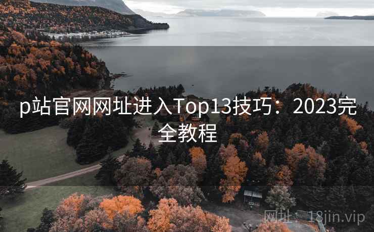 p站官网网址进入Top13技巧:2023完全教程 第1张 p站官网网址进入Top13技巧:2023完全教程 第1张
