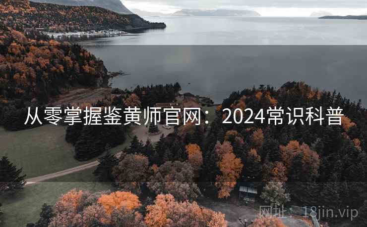 从零掌握鉴黄师官网：2024常识科普  第2张