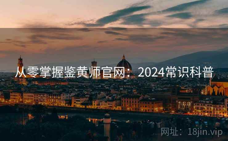 从零掌握鉴黄师官网：2024常识科普  第1张